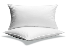 foam pillows by eFoam