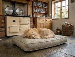 Memory foam dog bed cushion in a British country kitchen